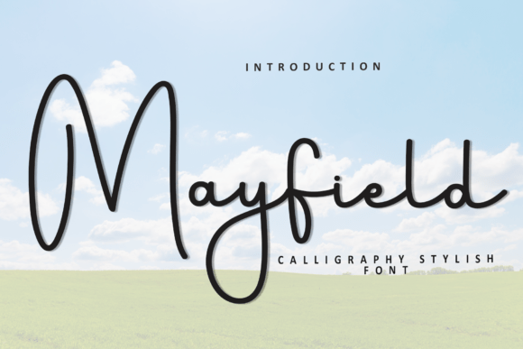 Mayfield: The Soft, Unique Typeface for Modern Creatives